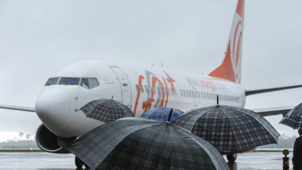Mais um pássaro interrompe decolagem de avião no Brasil