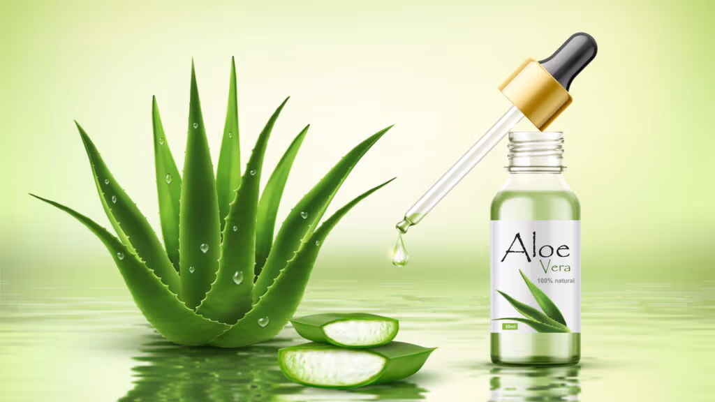 Três motivos para usar aloe vera todos os dias na sua rotina