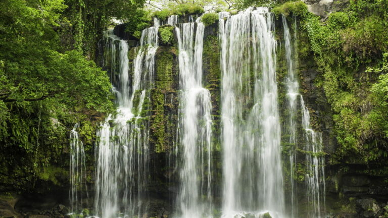 Imagem Item