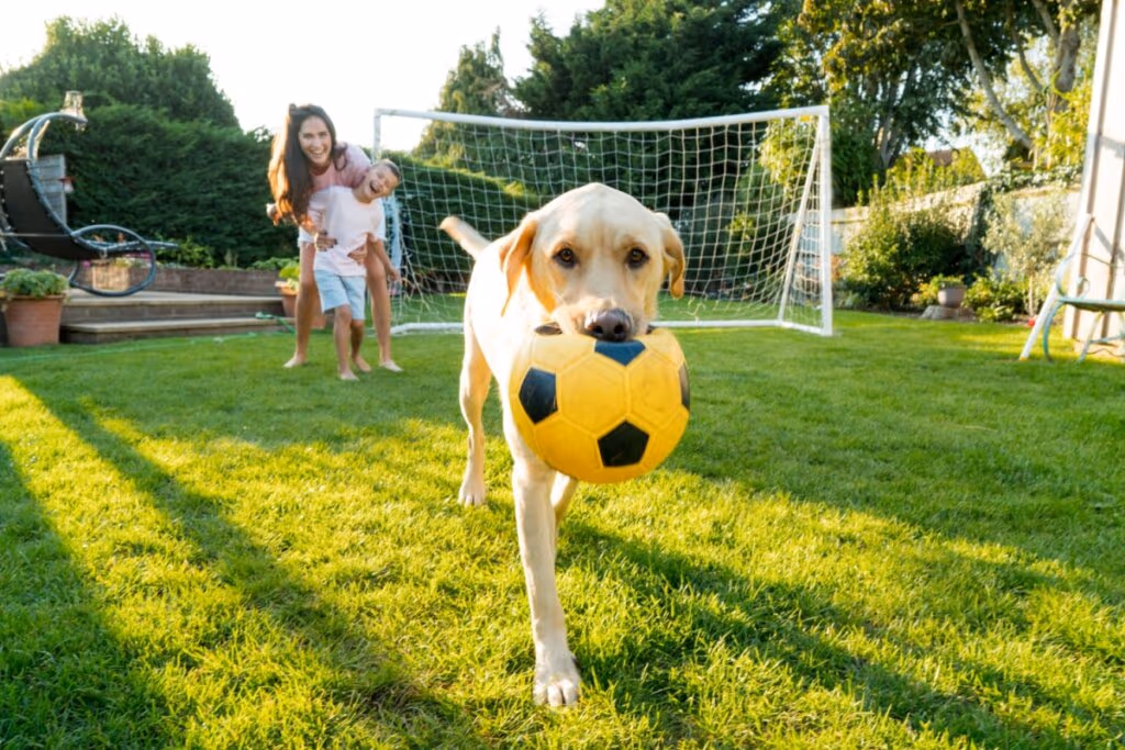 12 nomes de jogadores de futebol para cachorro 