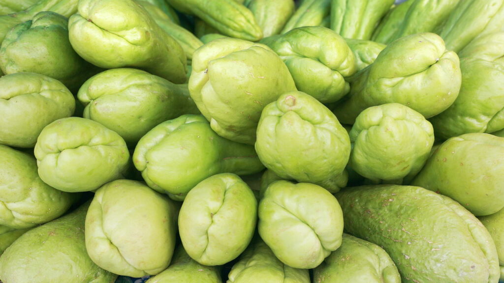 O legume subestimado que esconde um arsenal de benefícios