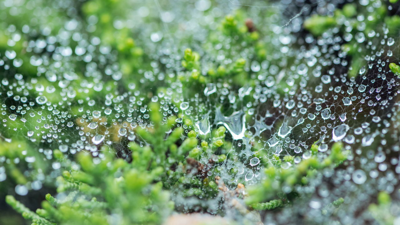 Defesa Civil emite alerta de chuvas intensas em São Paulo