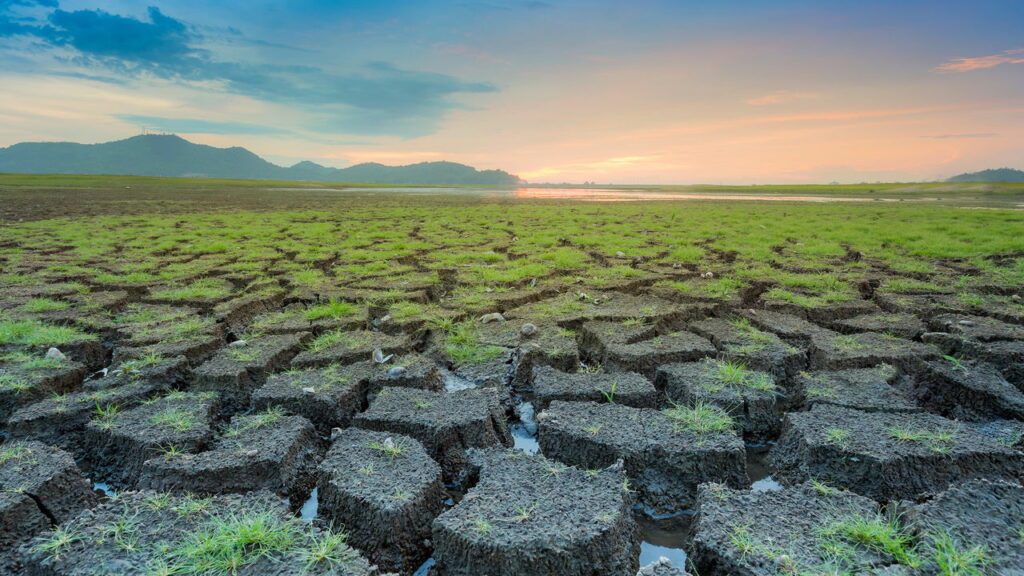 Por que a La Niña durou pouco tempo no Brasil?