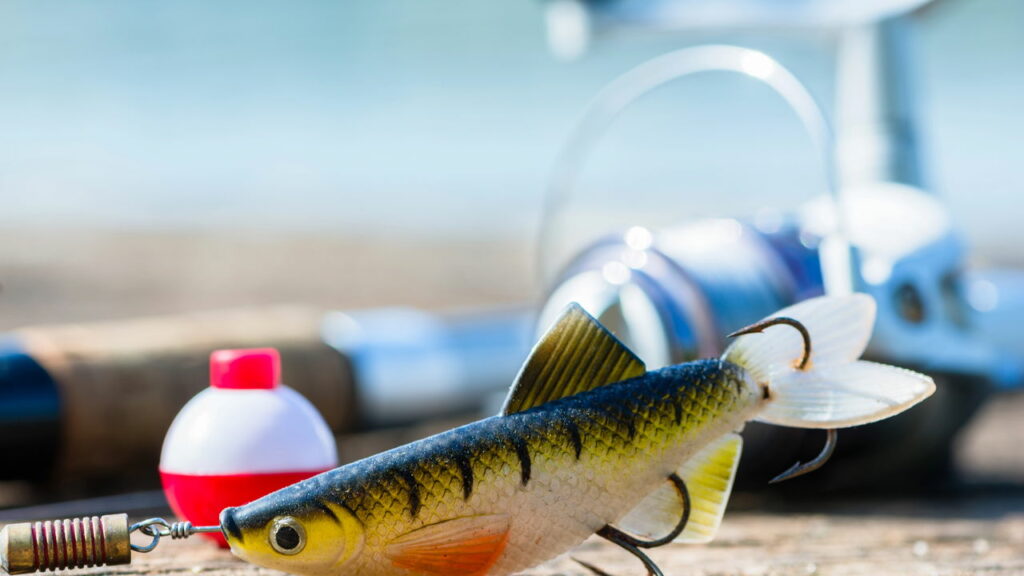 Guia para transporte de equipamentos de pesca no Aeroporto de Manaus