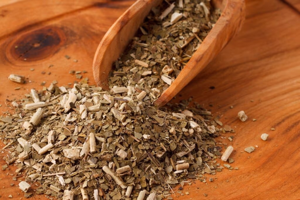 6 benefícios da erva-mate para a saúde e como preparar o chimarrão