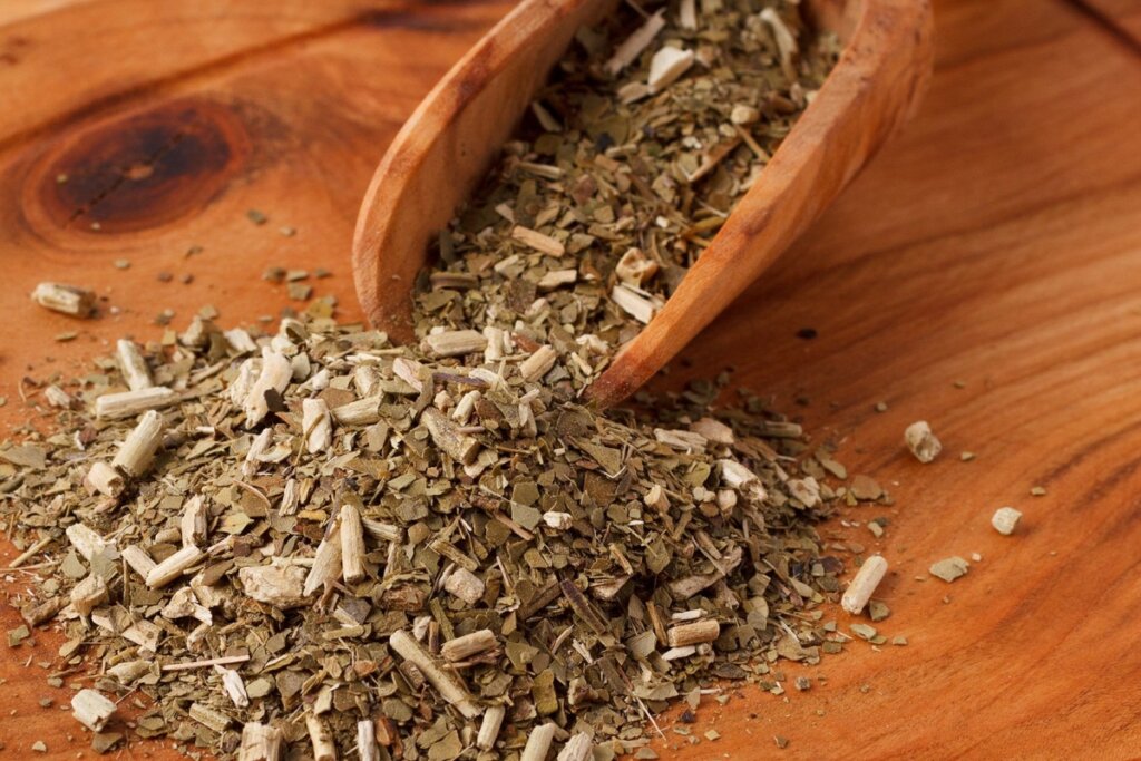 6 benefícios da erva-mate para a saúde e como preparar o chimarrão