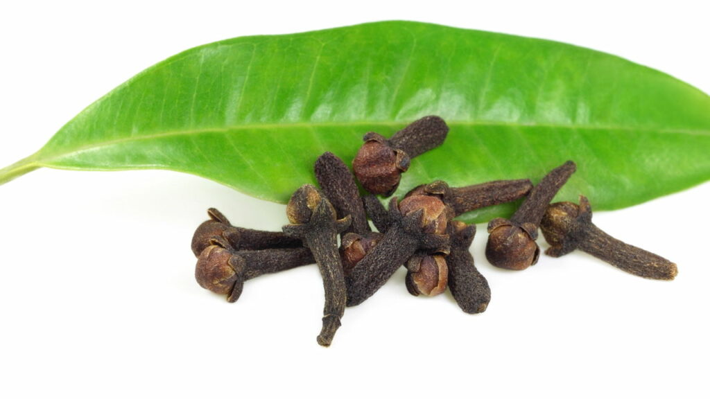 Esse chá natural pode melhorar sua pele e sua energia diariamente