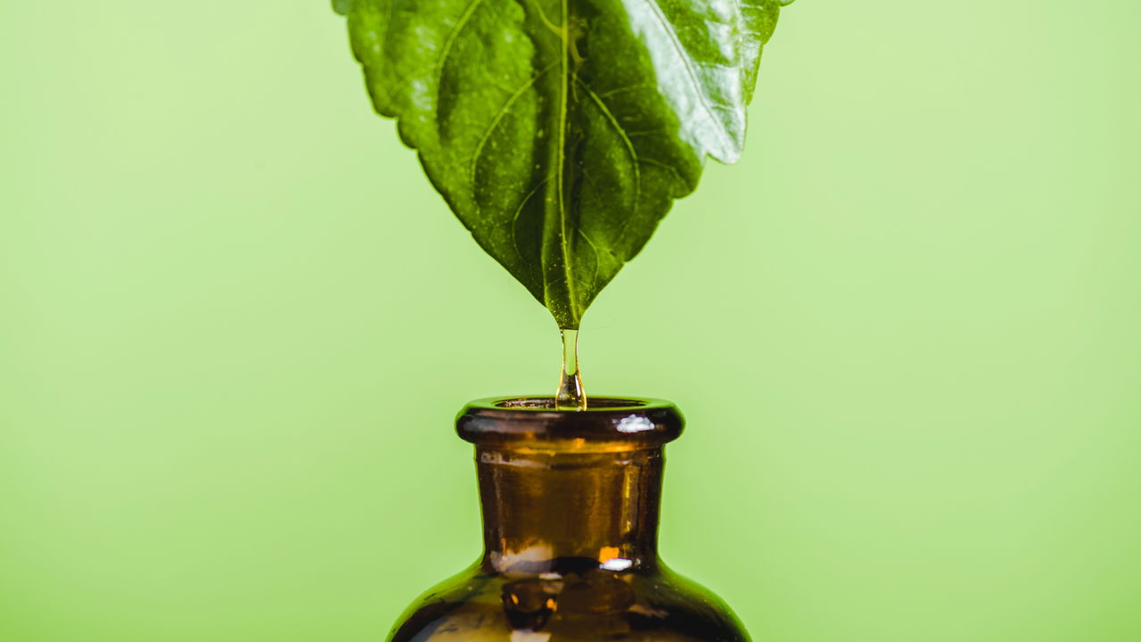 Homeopatia funciona mesmo ou é só mito?