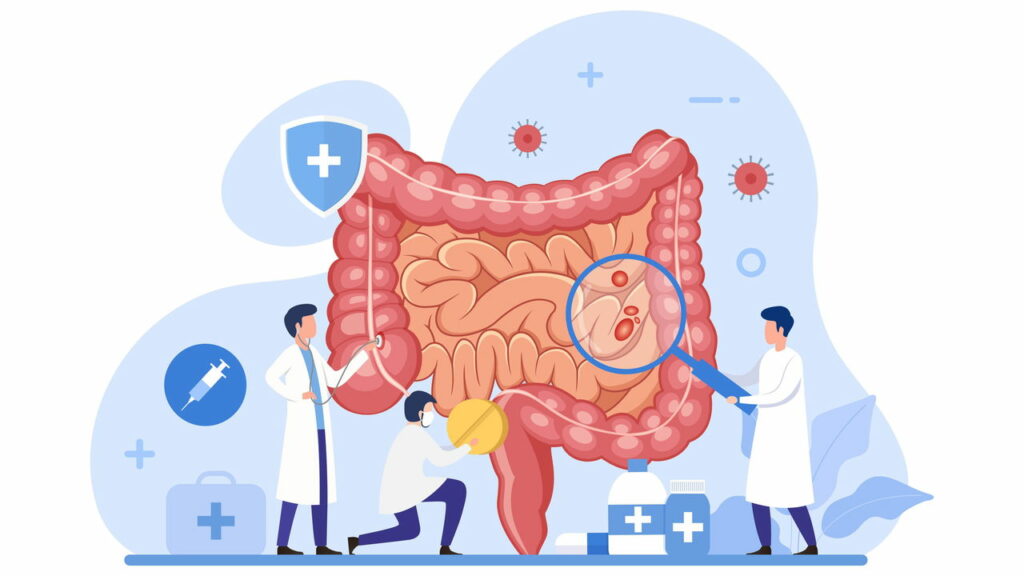 A surpreendente conexão entre o intestino e o equilíbrio emocional