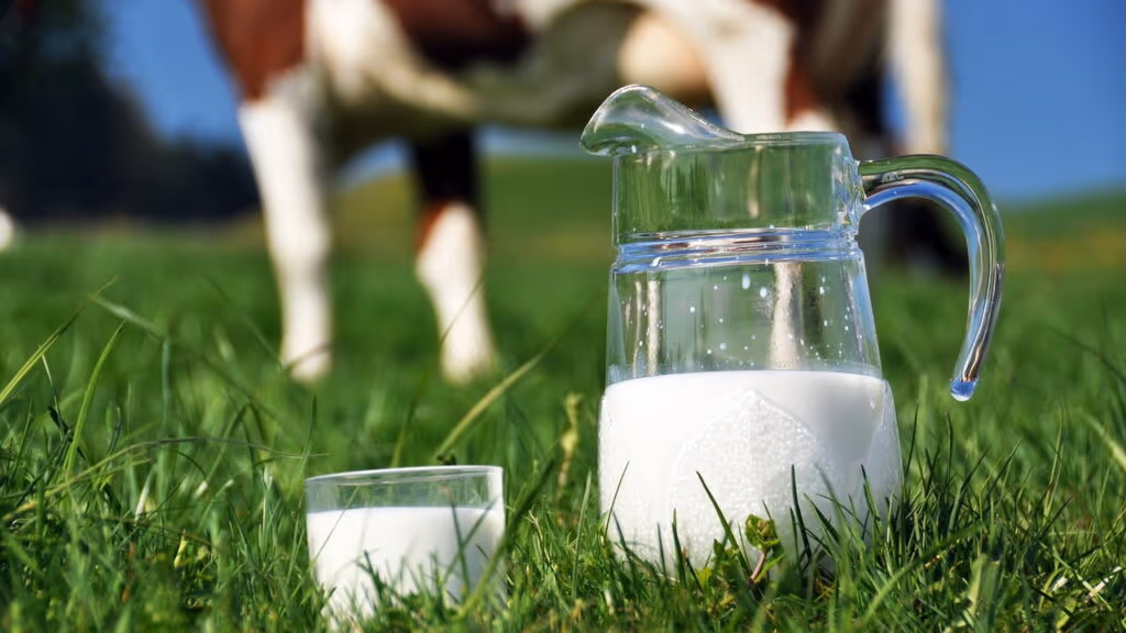 Leite é um dos alimentos mais completos segundo especialistas