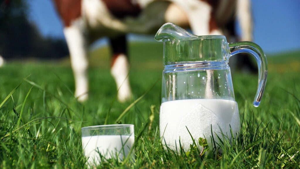 A verdade por trás do leite vegetal