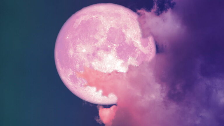 Imagem Item