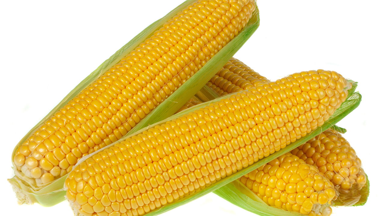 O que torna o milho tão essencial na cozinha e na cultura brasileira