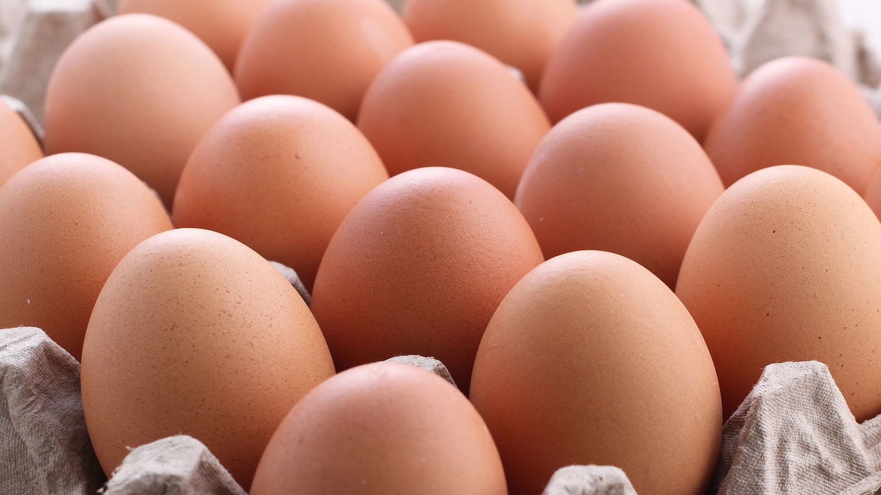 Time de futebol presenteia jogadores com ovos