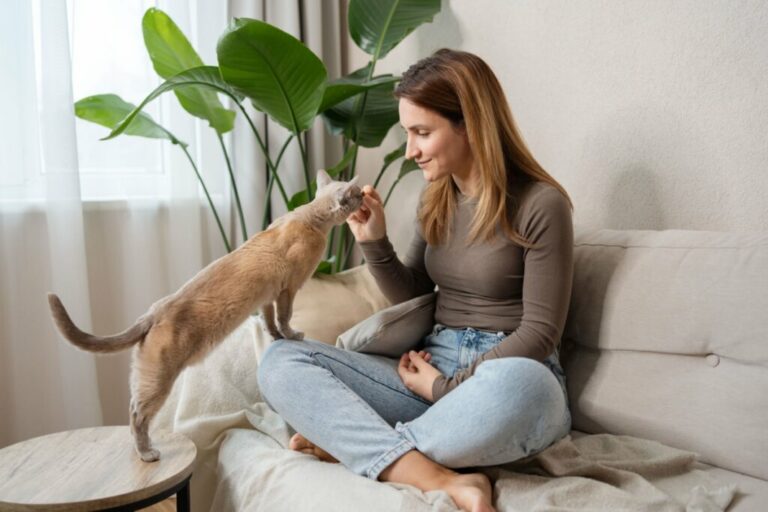 3 dicas para oferecer petiscos aos animais de estimação