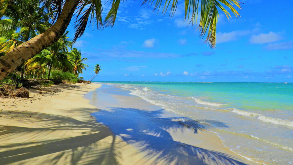 Esse lugar é o paraíso escondido em Alagoas