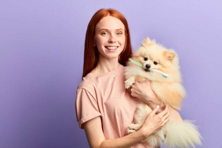 10 perguntas para fazer ao veterinário na primeira consulta