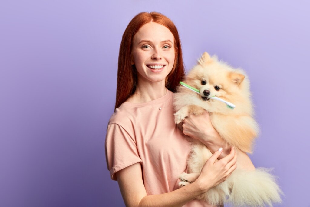 10 perguntas para fazer ao veterinário na primeira consulta