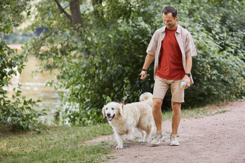 6 dicas para facilitar a adaptação do animal com a chegada do bebê