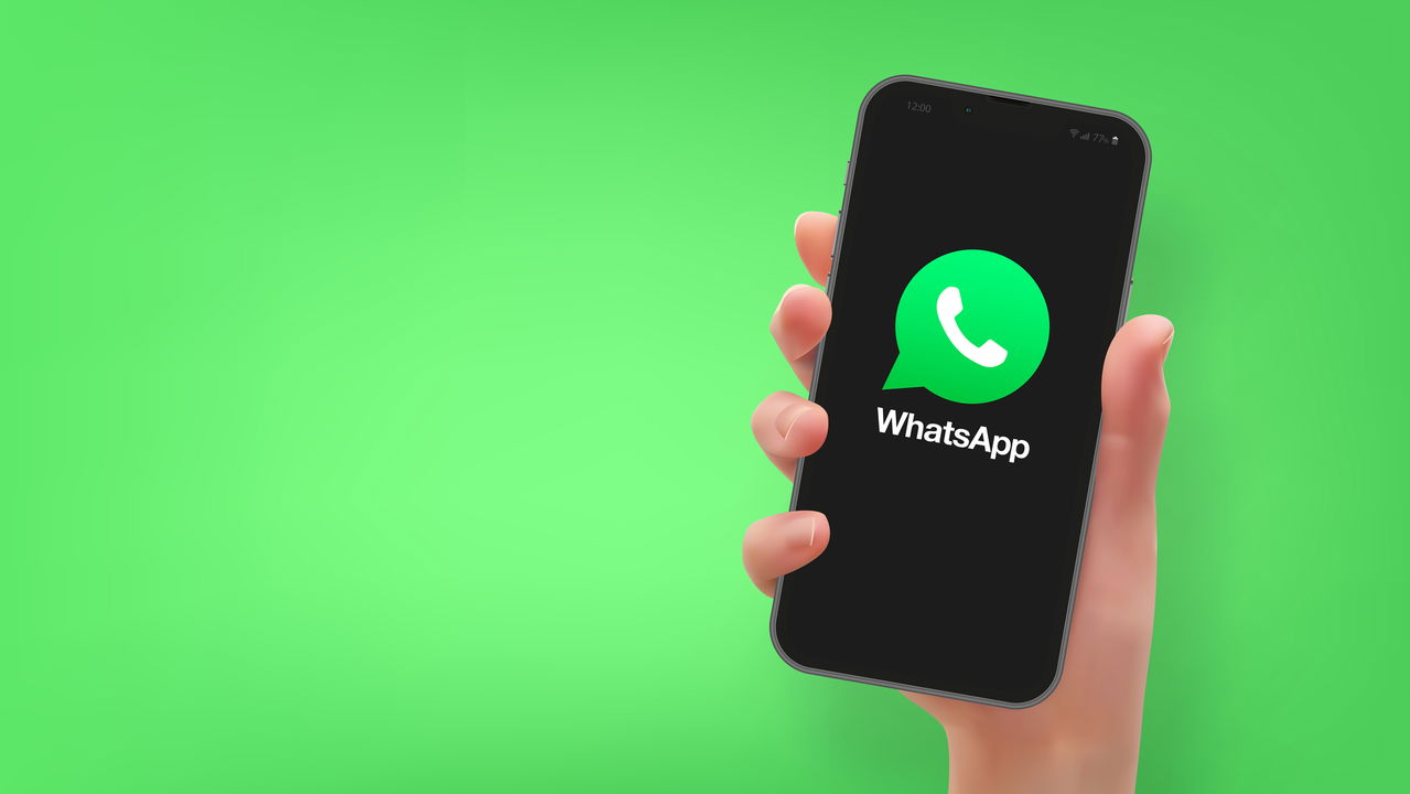 WhatsApp Premium com versão paga? Veja