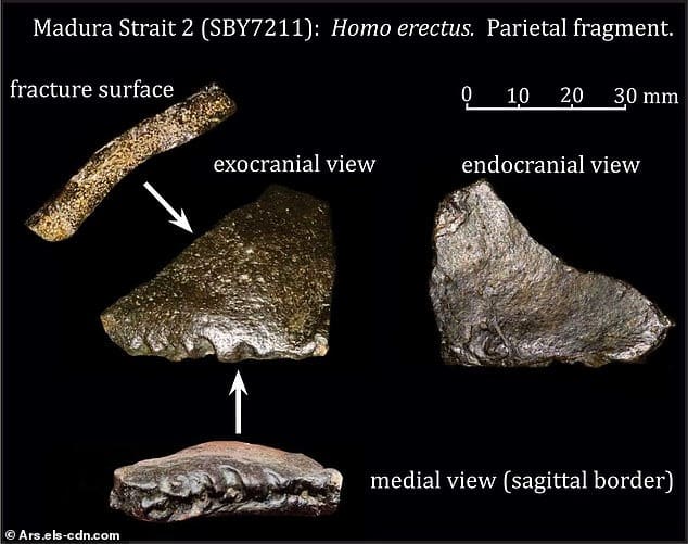 Descoberta submarina na Indonésia revela continente perdido