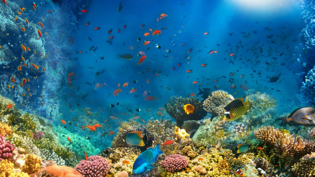Arqueólogos descobrem um mundo submerso de 140.000 anos sob o fundo do oceano