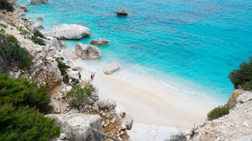 Essas praias escondidas vão te fazer repensar seu próximo destino