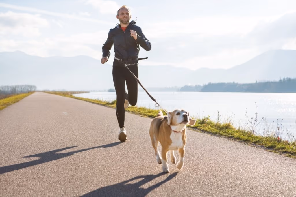 7 atividades físicas para praticar com o cachorro 