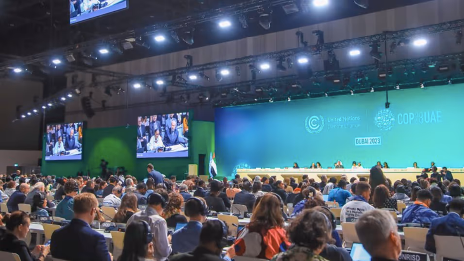 Crusoé: ONG desiste de ir para COP30: “Custos excessivos”