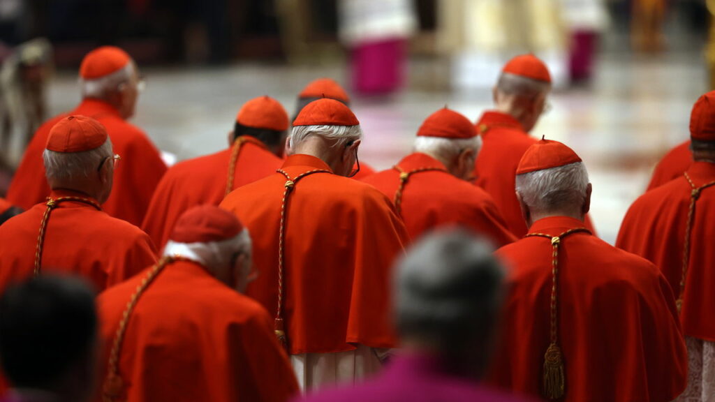 Veja quais as chances do mundo ter um papa brasileiro após o Conclave