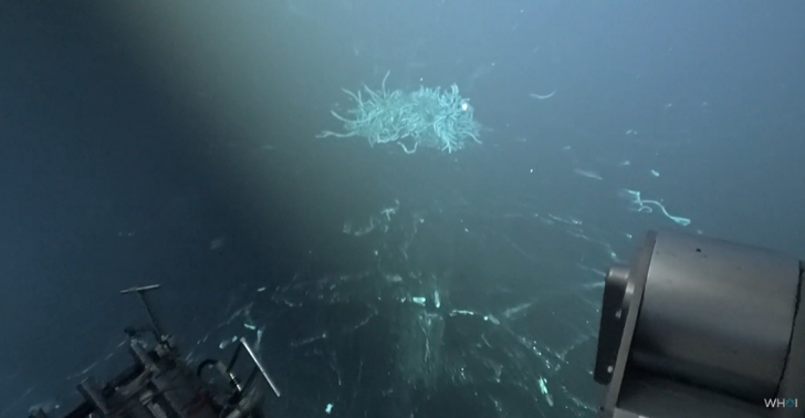Cientista registram erupção vulcânica no fundo do mar pela 1° vez