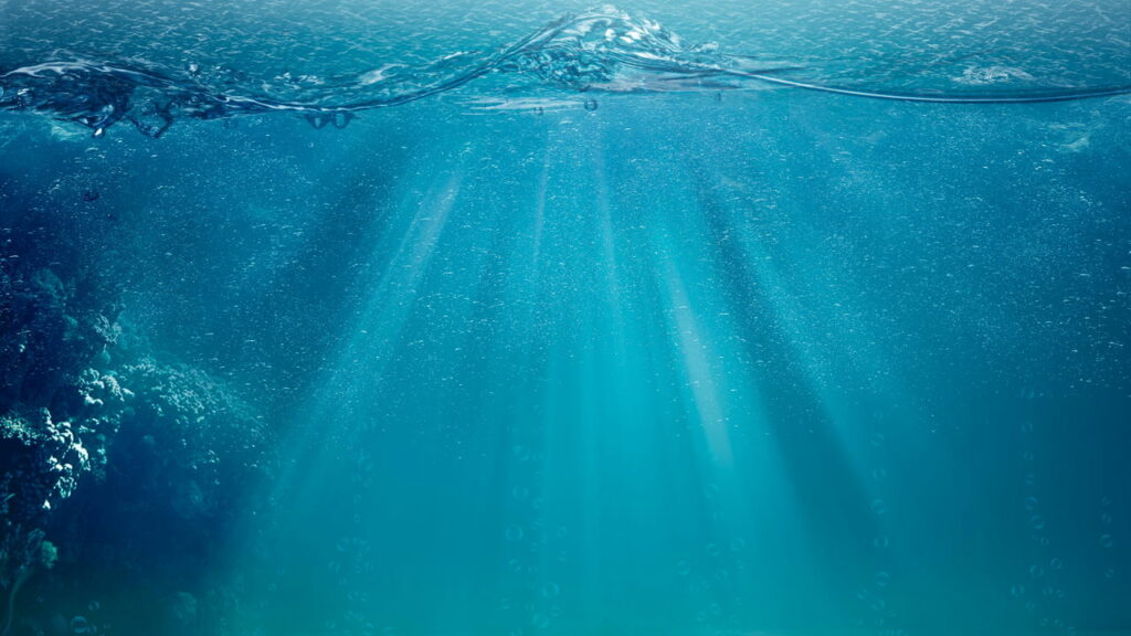 Cientistas fazem alerta chocante após análise do fundo do oceano