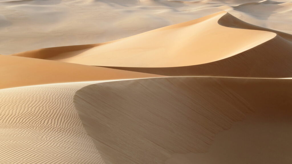 Novo achado no deserto africano pode mudar o que sabemos sobre o clima
