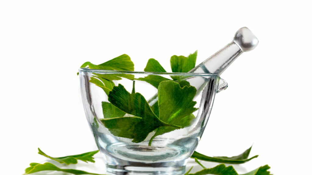 Essa planta lendária é conhecida como “Cura tudo”