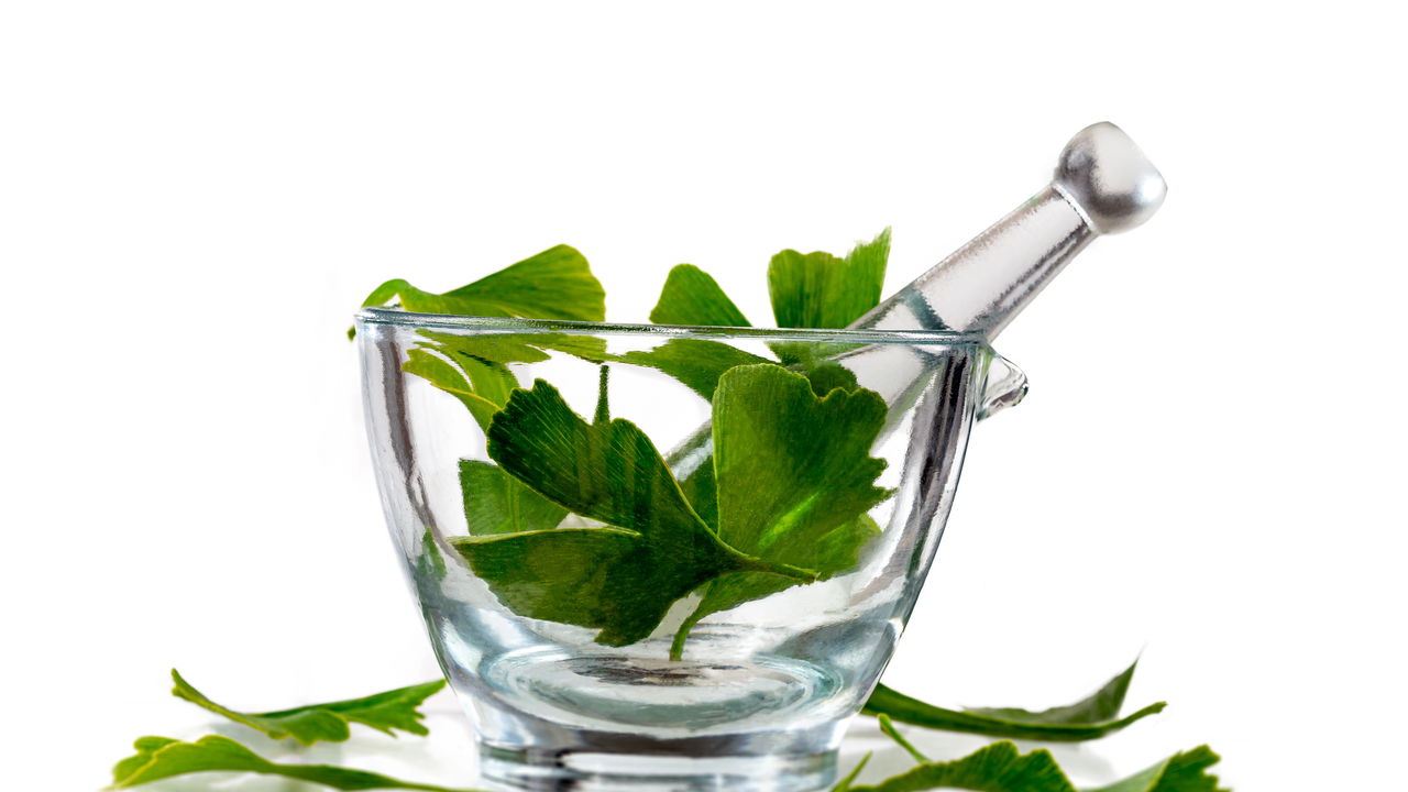 Essa planta lendária é conhecida como “Cura tudo”