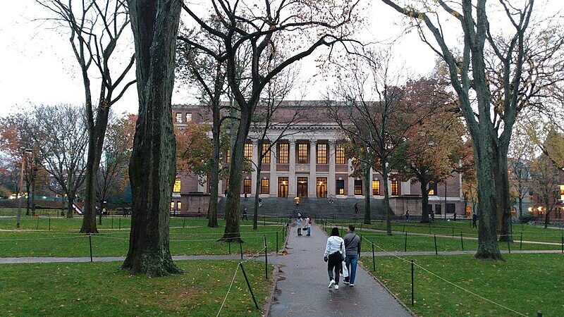 Crusoé: Harvard reage à decisão de Trump sobre estudantes estrangeiros
