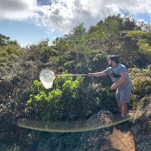 Lagarta carnívora "colecionadora de ossos" é a nova descoberta cientifica