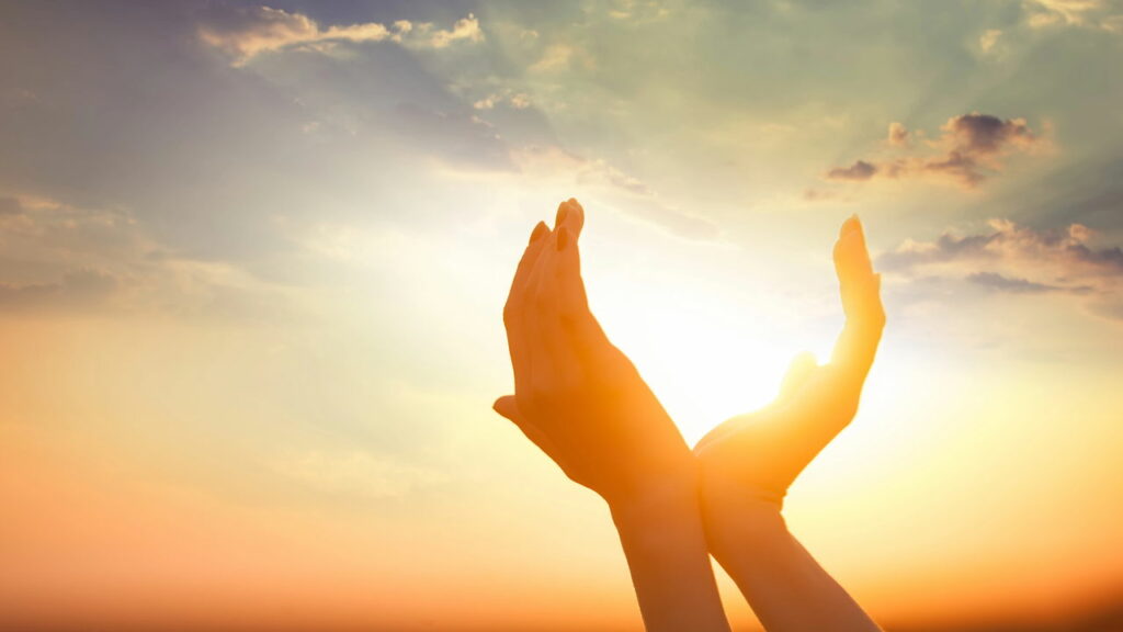 Estudo revela que a luz do dia pode turbinar sua imunidade 