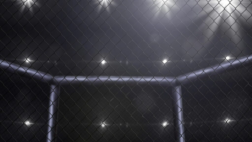 Os golpes mais utilizados para nocautear em lutas de título