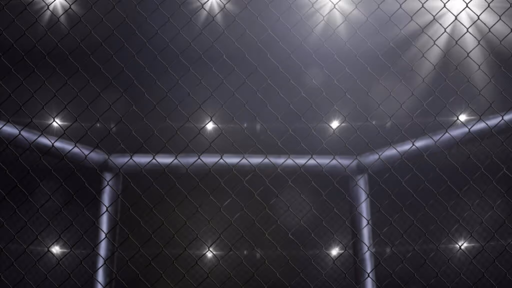 Os objetos mais estranhos já levados por lutadores para as coletivas do UFC