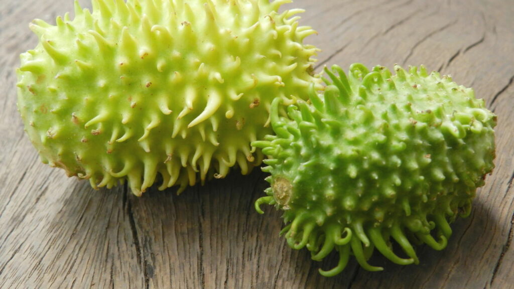 Essa fruta que parece de outro planeta controla a glicose naturalmente