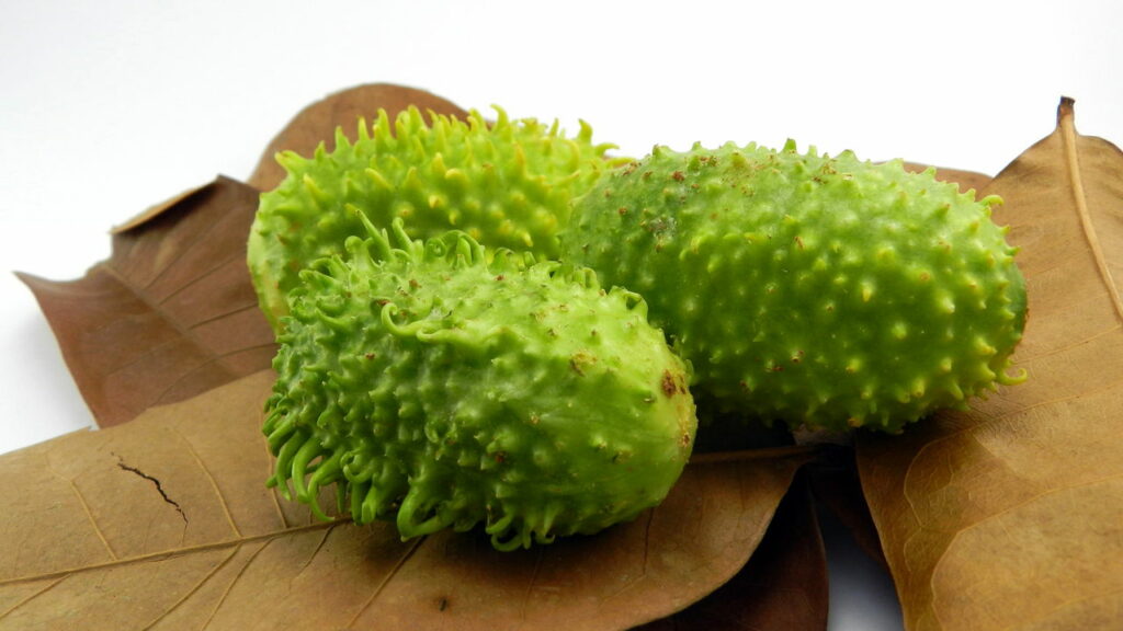 Essa fruta nutritiva é um tesouro nacional esquecido por muitos