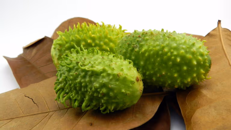 Essa fruta que parece de outro planeta controla a glicose naturalmente