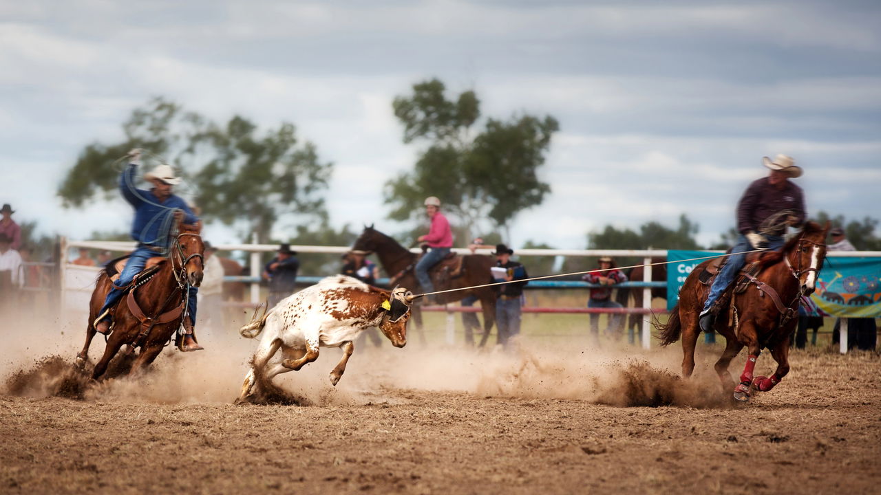 Morre lenda do rodeio aos 69 anos