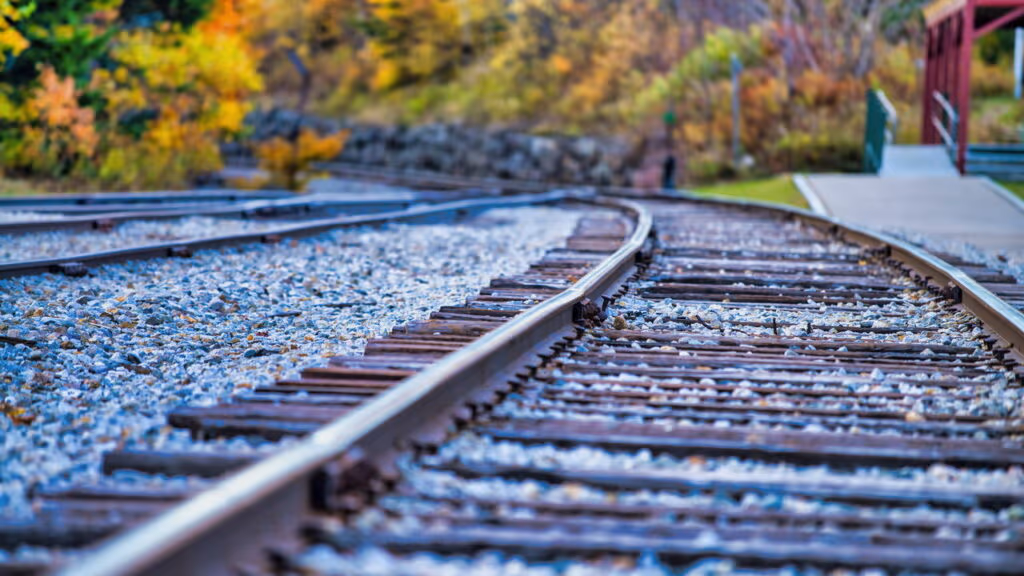 Vídeo: Motorista bebado é resgatado segundos antes de trem atingir seu carro