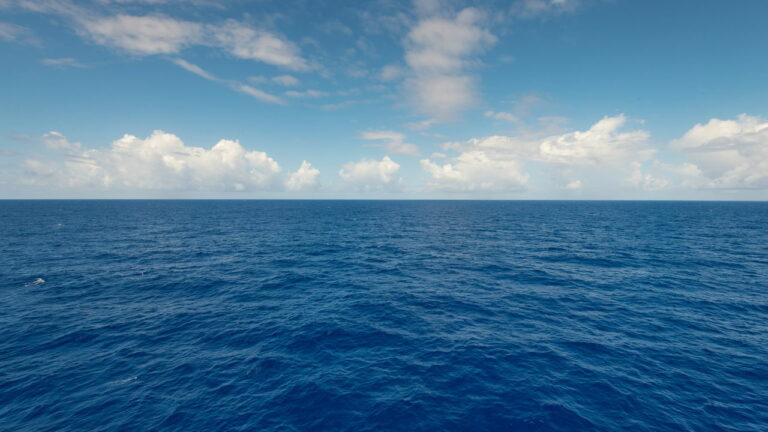 Imagem Item