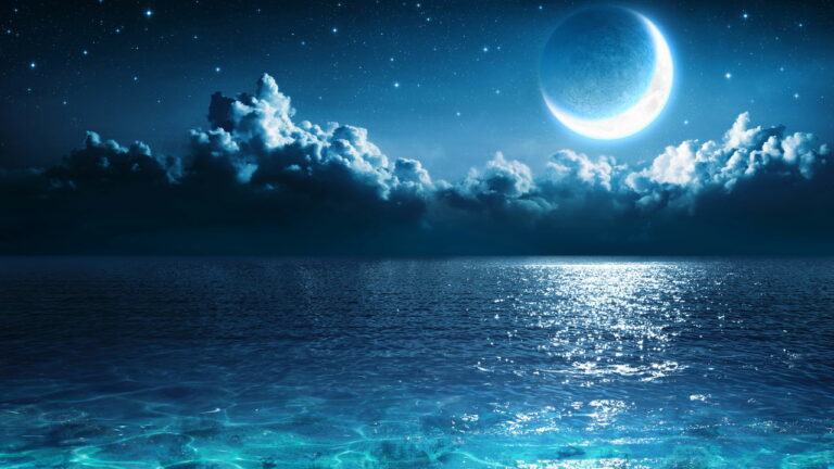 Imagem Item