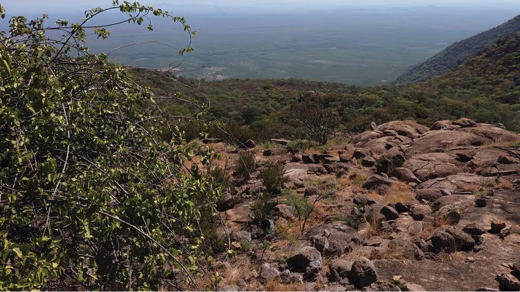 A menor cidade do Brasil tem menos de mil habitantes e é gigante em qualidade de vida