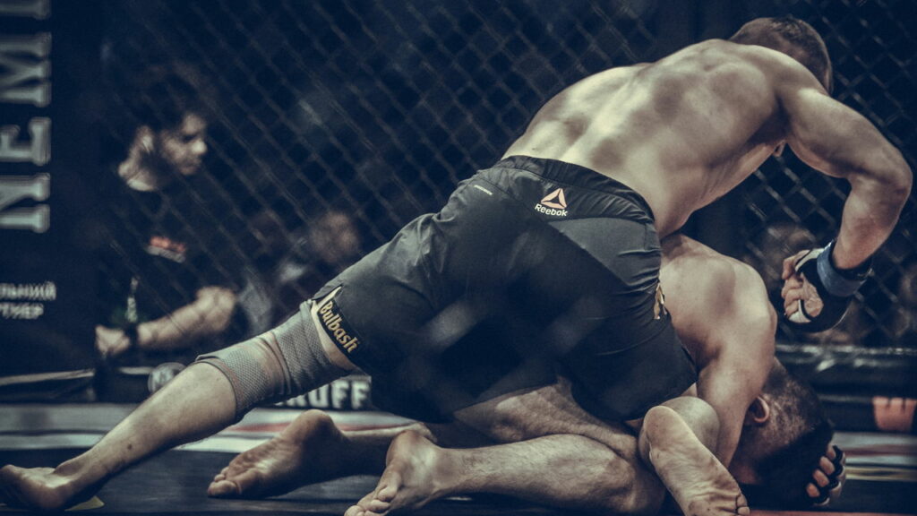 O que todo fã de luta deveria saber sobre o funcionamento do UFC