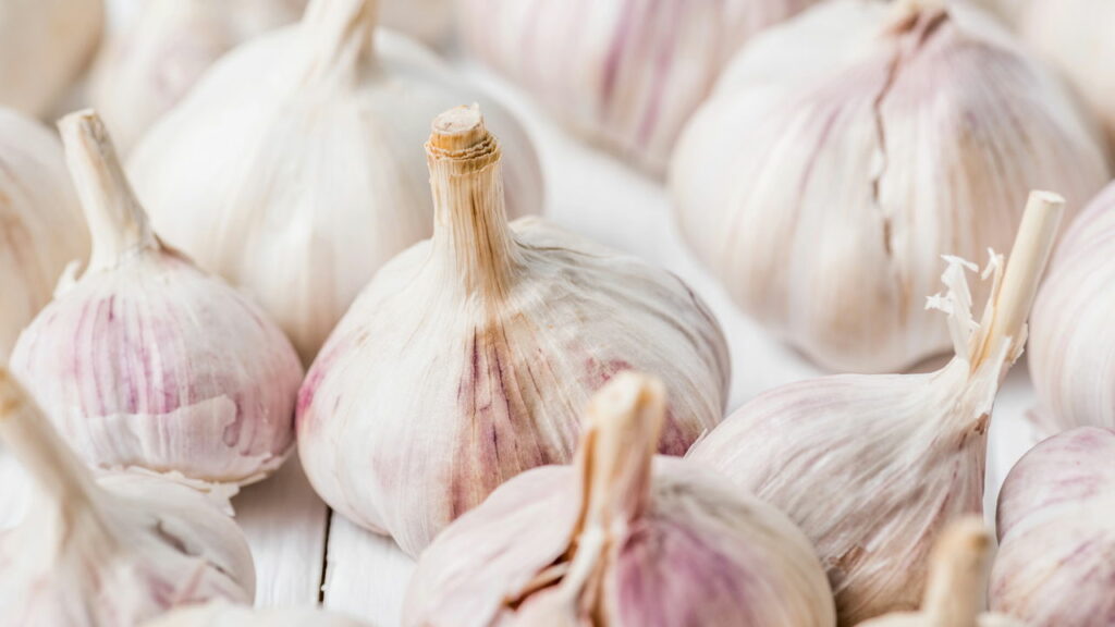 Cultivar alho em casa é mais simples do que parece